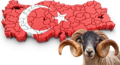 Yoğun gündeme bayram molası!