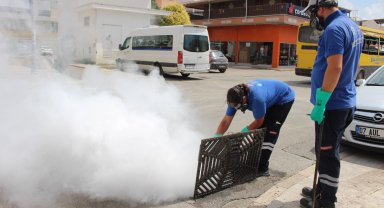 Antalya'da 19 ilçede yoğun vektörle mücadele
