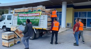 Antalya'da arı kovanı destekleri devam ediyor