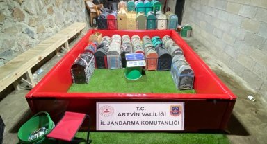 Artvin'de horoz dövüştürenlere rekor ceza