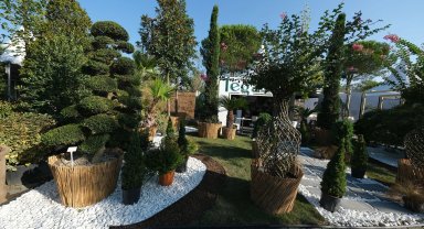 Binlerce konsept Sakarya'da 9. kez vitrine çıkıyor