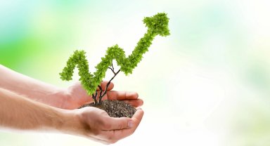 BNP Paribas Cardif Emeklilik'in sürdürülebilirlik odaklı BES Fonu (BSR) 1 yşında