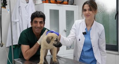 Bursa Gürsu ödüllü hayvan bakım merkezi can dostlara umut