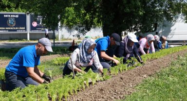 Bursa Osmangazi bu yaz çiçek kokacak
