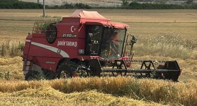 Edirne Keşan'da ilk arpa hasadı... Çiftçi fiyattan dertli