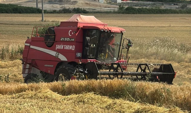 Edirne Keşan'da ilk arpa hasadı... Çiftçi fiyattan dertli