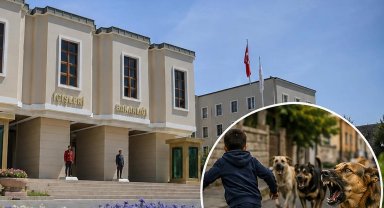 İçişleri'nden köpek saldırıları sonrası 3 belediye başkanı hakkında işlem... Muğla ve Erzurum'a soruşturma, Şanlıurfa'ya ön inceleme