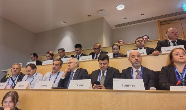 ILO'nun 114. Çalışma Konferansı Cenevre'de başladı