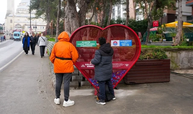 İstanbul Maltepe'de kapak kumbarası 8'e ulaştı