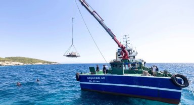 İzmir'de midye kabukları deniz yaşamına nefes olacak