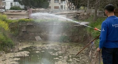 İzmir'de sivrisineğe karşı dev mücadele