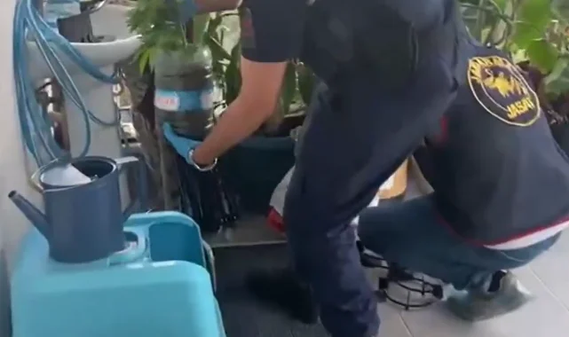 Jandarma'dan 5 ilde uyuşturucuya 341 gözaltı
