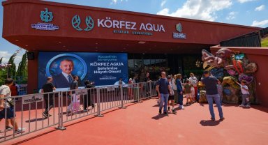 Kocaeli'de 2 günde su altı yaşamını 36 bin 809 kişi keşfetti