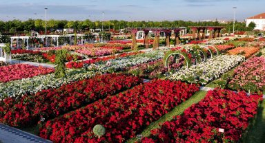 Konya Karatay'da 190 çeşit gül ile görsel şölen