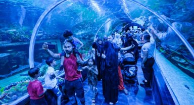 Körfez Aqua Kıtalar Akvaryumu'na yoğun ilgi