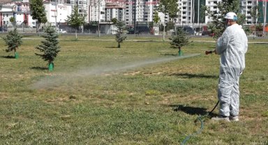 Malatya'da vektörel mücadele sürüyor