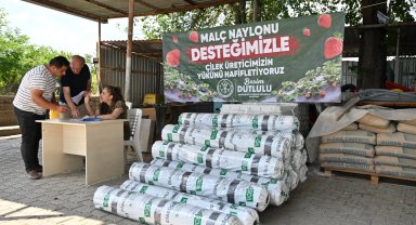 Manisa'da çilek üreticisine Büyükşehir'den destek