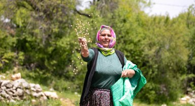 Mersin'de yerel tohumlarla üretim güçleniyor
