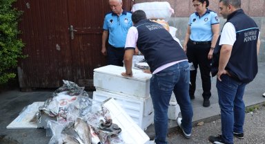 Otogar'da balık operasyonu