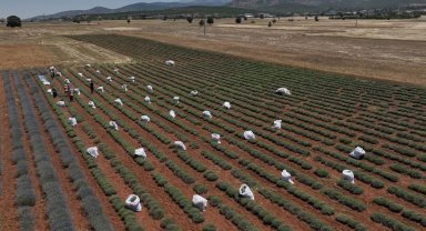 TZOB: 30 yılda 3 milyon hektar tarım arazisi kaybedildi!