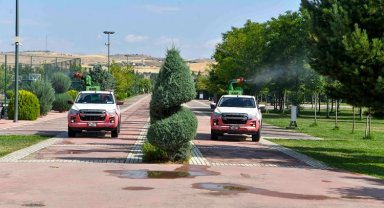 Ankara Büyükşehir'de ilaçlama seferberliği