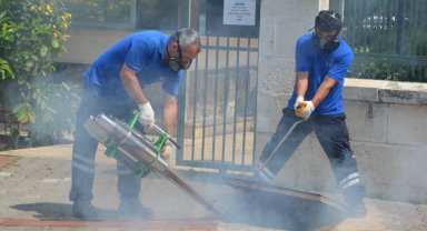 Antalya'da vektörel mücadele 4 koldan sürüyor