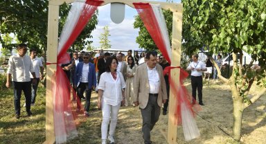 ATA Çiftliği'nde ilk dut toplandı