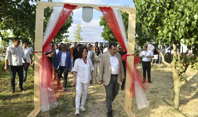 ATA Çiftliği'nde ilk dut toplandı