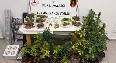 Bursa İnegöl'de kenevir ve yüklü miktarda esrar ele geçirildi