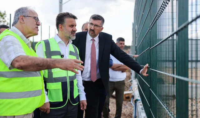 Bursa'da sokak hayvanları için doğal yaşam alanı