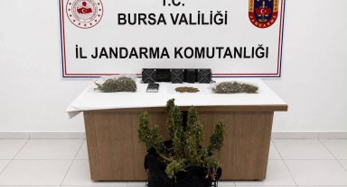 Bursa'da uyuşturucuya 3 gözaltı!