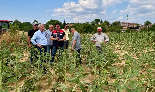 Edirne Keşan'da fırtına sonrası hasar tespiti başladı