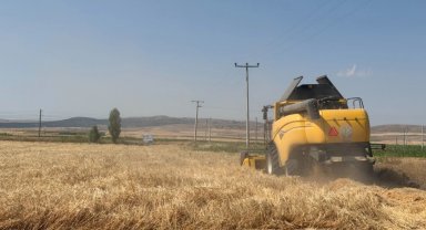 Eskişehir'de 77 tonluk arpa hasadı