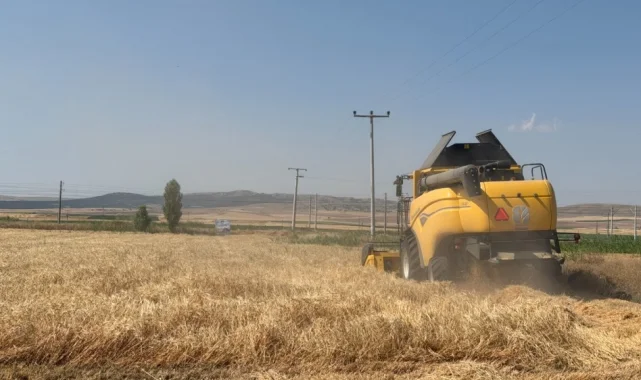 Eskişehir'de 77 tonluk arpa hasadı