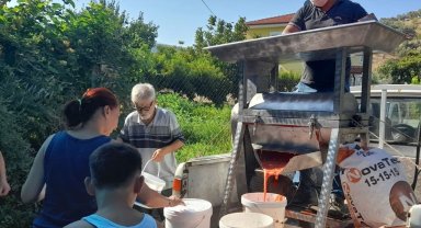İzmir Efes Selçuk'ta kışlık domates hazırlığı