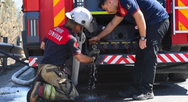İzmir İtfaiyesi bukalemunu hayata döndürdü