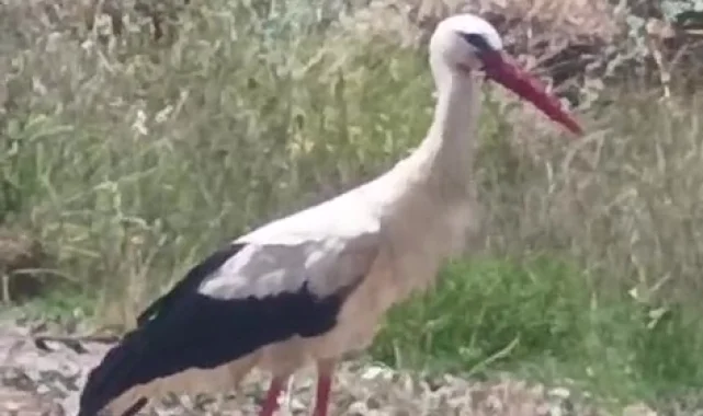 Keşan'ın da "Yaren"i olabilir!