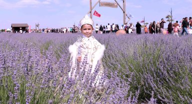 Konya Karatay'da Lavanta Bahçesi'nde festival hazırlığı