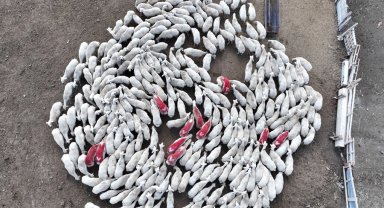 Konya'da hayvan yetiştiriciliği eğitimleri üreticilere güç katıyor