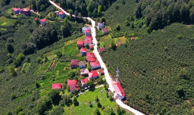 Köy yollarına beton destek