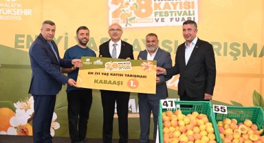 Malatya'da kayısılar yarıştı