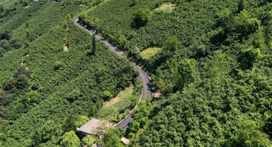 Ordu'da 3,5 kilometrelik asfalt tamamlandı