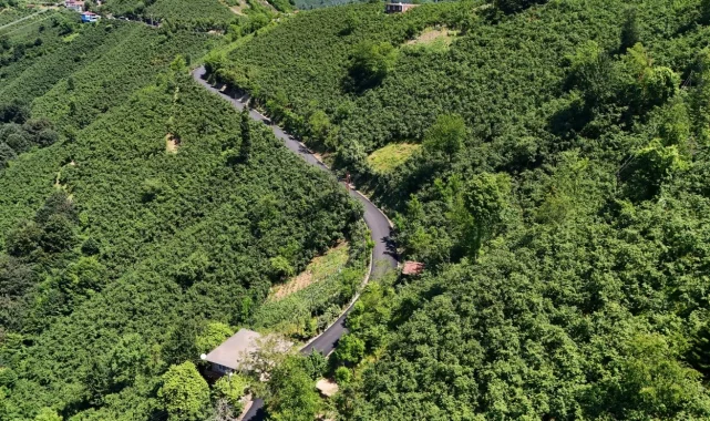 Ordu'da 3,5 kilometrelik asfalt tamamlandı