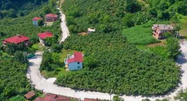Ordu'da kırsal mahallelere beton yol konforu