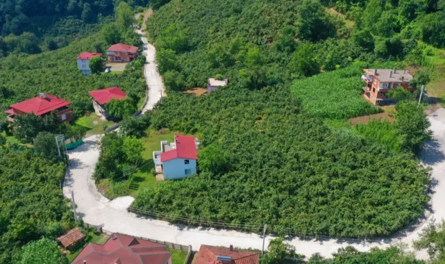 Ordu'da kırsal mahallelere beton yol konforu