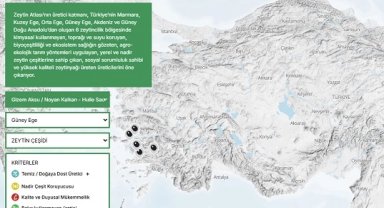 Türkiye'nin "Zeytin Atlası" erişime açıldı