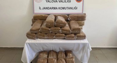 Yalova'da 160 kilogram bandrolsüz tütün ele geçirildi