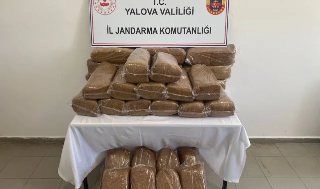 Yalova'da 160 kilogram bandrolsüz tütün ele geçirildi