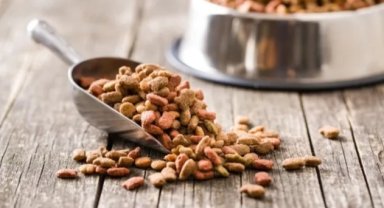 Yeni yapılan 31 bilimsel araştırmaya göre, vegan köpek maması ve vegan kedi mamasının iyi sindirildiğini ortaya koydu