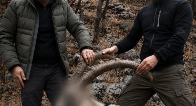 6 yıl önceki kaçak avın failleri tespit edildi! 5 yaban keçisi için ceza uygulandı
